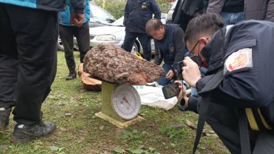  新竹林管處會同內政部警政署保安警第七總隊第五大隊對扣案木進行測量